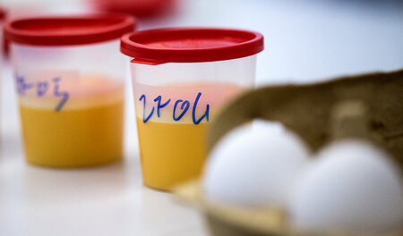 Der Skandal um mit Fipronil belastete Eier zieht immer weitere K... Der Skandal um mit Fipronil belastete Eier zieht immer weitere K...
