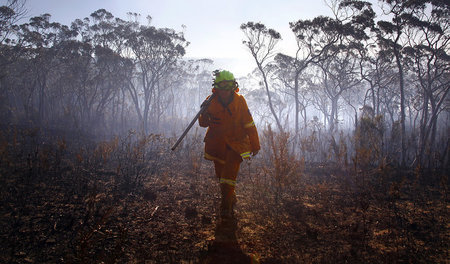 Das wächst bald wieder. Feuerwehrmann nach Buschbrand in Austral...