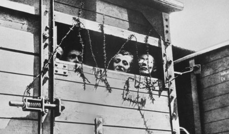 Um 1943: In solchen Güterwagen transportieren die Nazis Juden un...