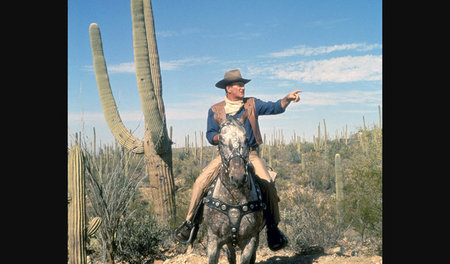 Cole Thornton (John Wayne) reitet in die Wüste: »El Dorado«