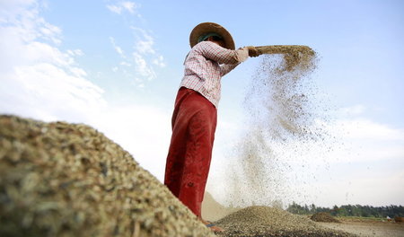 Exportschlager auf Halde: Geerntete Schwarzbohnen nahe Naypyitaw... Exportschlager auf Halde: Geerntete Schwarzbohnen nahe Naypyitaw...