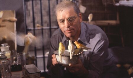 Die Vögel geben seinem Gefangenendasein wieder einen Sinn: Burt... Die Vögel geben seinem Gefangenendasein wieder einen Sinn: Burt...