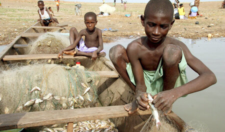 Junger Fischer in Ghana am Voltasee. Die meisten Kinderarbeiter ...