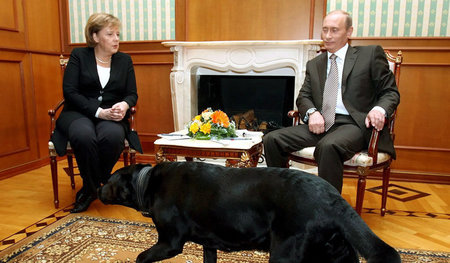 Merkel, Putin und ein Hund, der nicht beißt (Sotschi, Oktober 20...