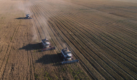 In der Region Krasnoyar wird die Ernte eingefahren (29. August) In der Region Krasnoyar wird die Ernte eingefahren (29. August)